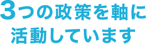 3つの政策を軸に活動しています
